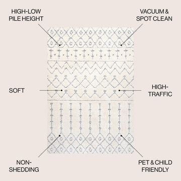 Pia Moroccan Trellis Plush Carved Area Rug